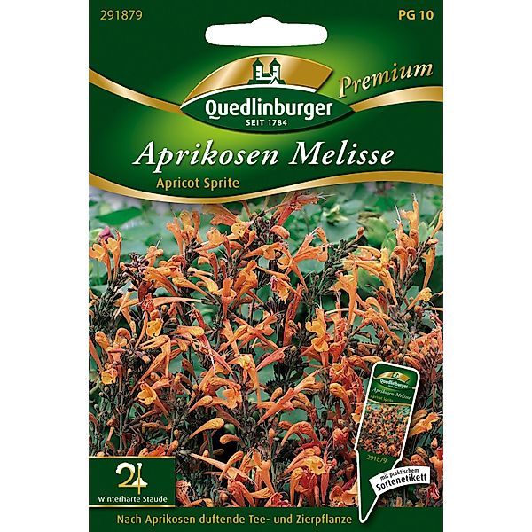 Quedlinburger Aprikosen-Melisse Apricot Sprite Loses Saatgut günstig online kaufen