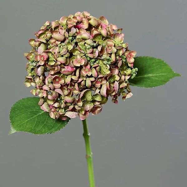Kunstblume Hortensie pink-grün 44cm günstig online kaufen