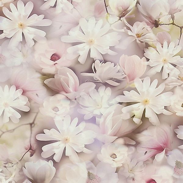 PROFHOME 387222-GU Blumen Tapete Floral Matt Weiß Rosa Grün 0,53 m x 10,05 günstig online kaufen