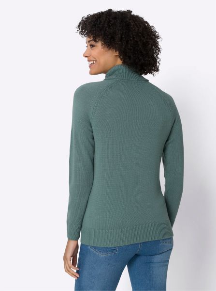 Sieh an! Strickpullover Rollkragenpullover günstig online kaufen
