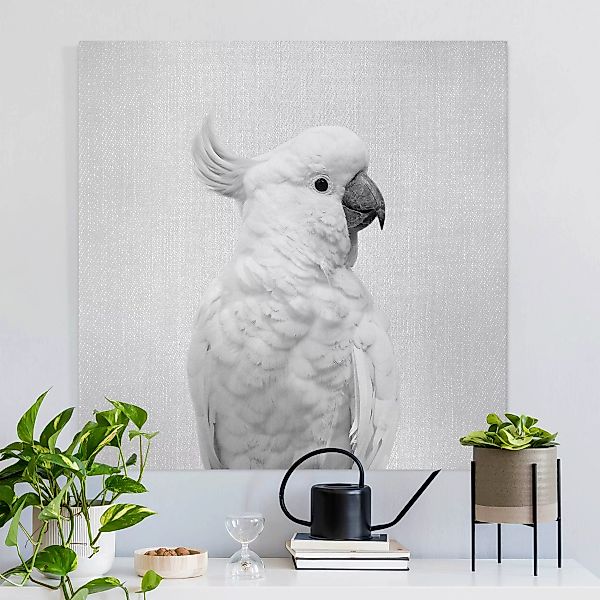 Leinwandbild Kakadu Kiki Schwarz Weiß günstig online kaufen