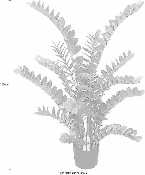 Creativ green Kunstpflanze "Zamifolia" günstig online kaufen