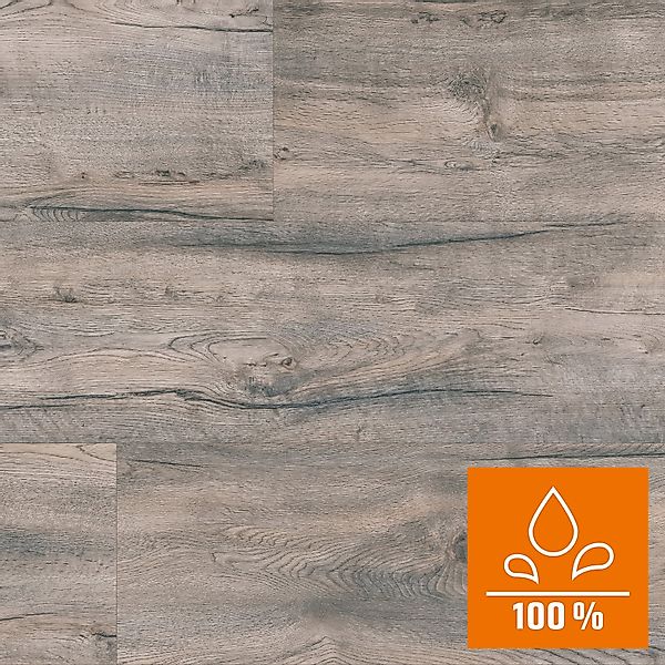 Kaindl Proganic Laminat 8,5 mm Wasserfest Eiche Saloon Tombstone günstig online kaufen