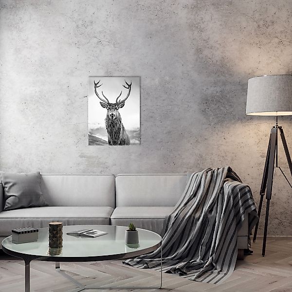 Bönninghoff Leinwandbild, Hirsch, (1 St.), BxH: 46x61 cm günstig online kaufen