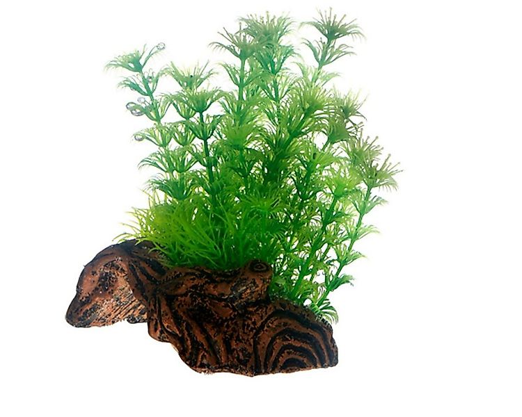 HOBBY Aquariendeko Flora Root 3 S, 17 cm - Kunststoffpflanze für Aquarien günstig online kaufen