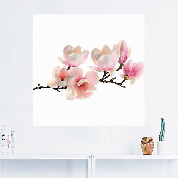 Artland Wandbild "Magnolie", Blumen, (1 St.), als Leinwandbild, Poster, Wan günstig online kaufen