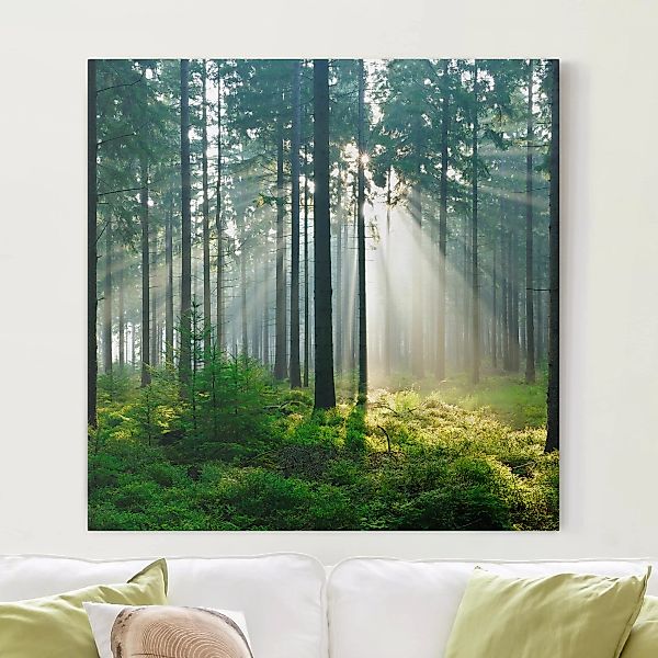 Leinwandbild Wald - Quadrat Enlightened Forest günstig online kaufen