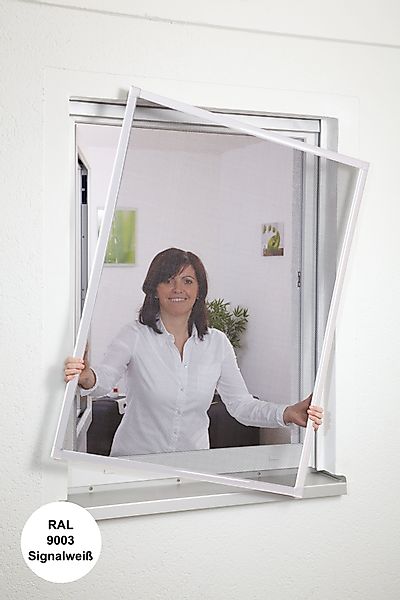 hecht international Insektenschutz-Fensterrahmen Basic, BxH: 120x140 günstig online kaufen