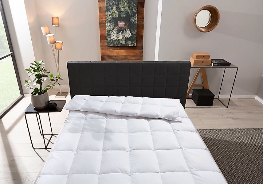 Otto Keller Daunenbettdecke "STARLIGHT für jede Saison die richtige Bettdec günstig online kaufen