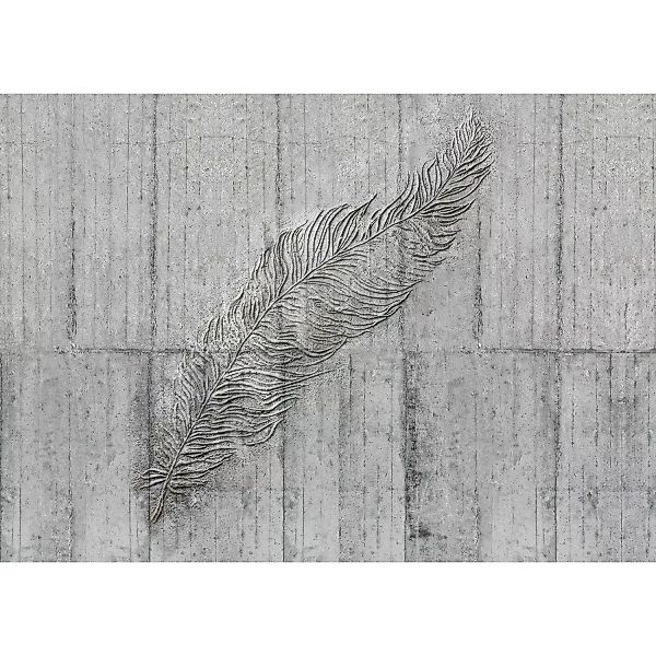 KOMAR Vlies Fototapete - Concrete Feather  - Größe 350 x 250 cm mehrfarbig günstig online kaufen