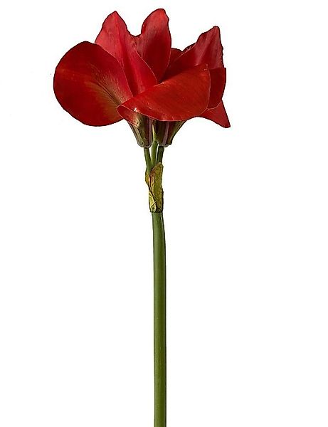 Kunstblume *Edle Stielblume, täuschend echt wirkende günstig online kaufen