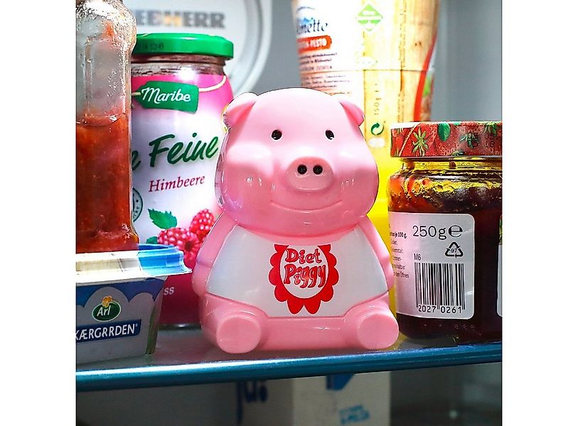 OOTB Lernspielzeug Das Kühlschrank Diätschwein günstig online kaufen