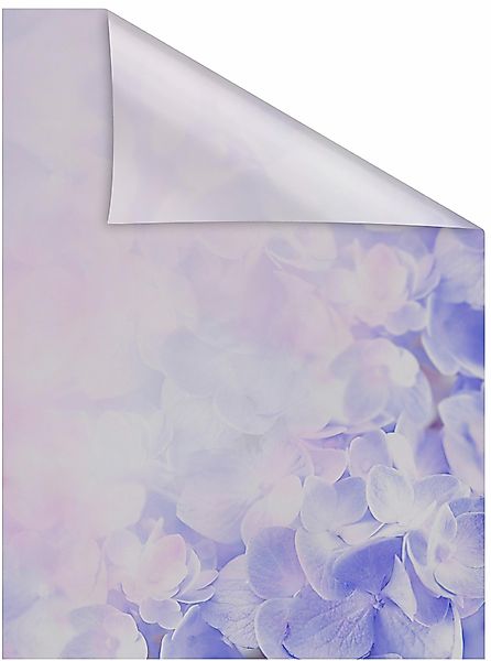 LICHTBLICK ORIGINAL Fensterfolie »Hortensie« 1 Stk. blickdicht strukturiert günstig online kaufen