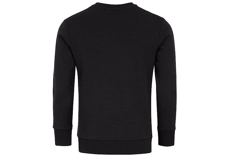 REPUBLIX Sweatshirt WYATT Herren Basic College Pullover Sweatjacke Hoodie günstig online kaufen