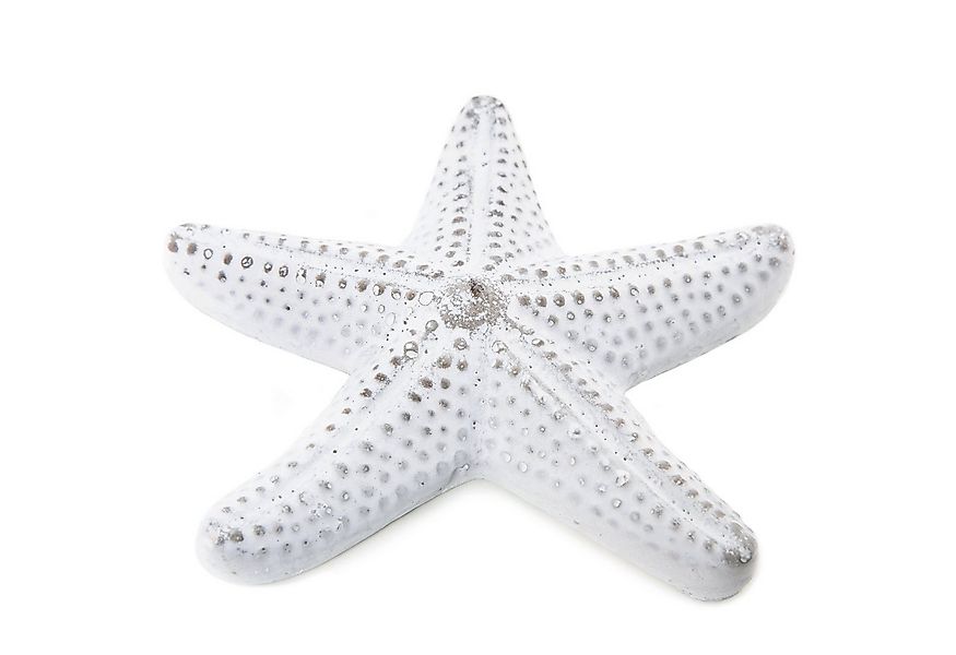 Logbuch-Verlag Dekofigur Seestern Dekoobjekt aus Beton grau weiß flach mari günstig online kaufen