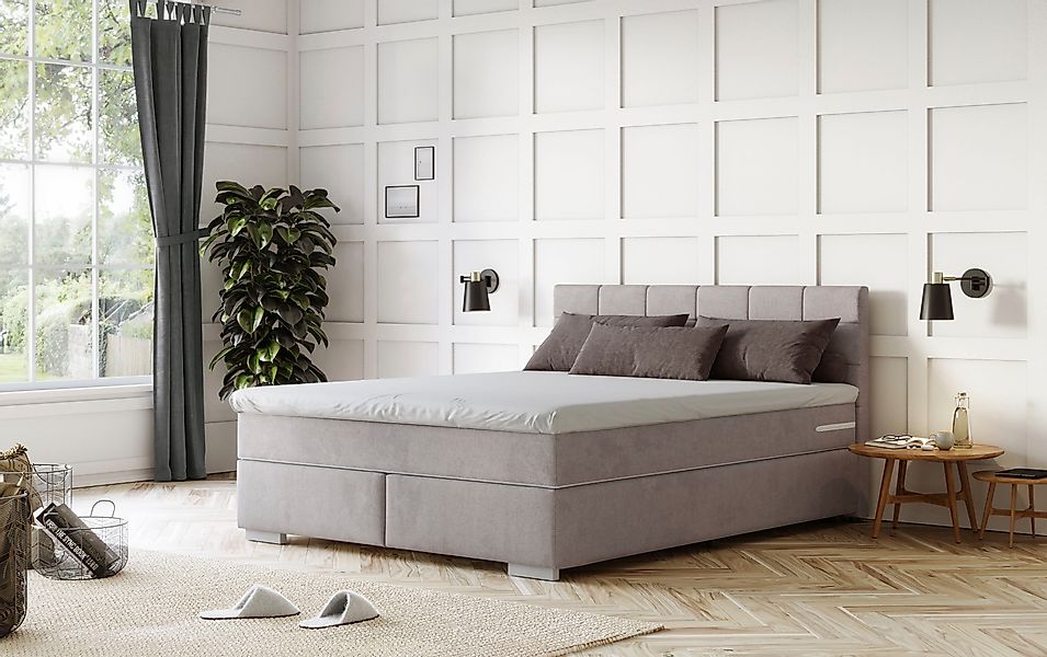 COTTA Boxspringbett "Simba" Topseller wahlweise mit oder ohne Matratze und günstig online kaufen