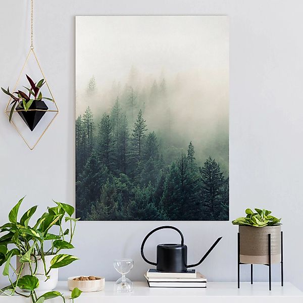 Leinwandbild Wald im Nebel Erwachen günstig online kaufen