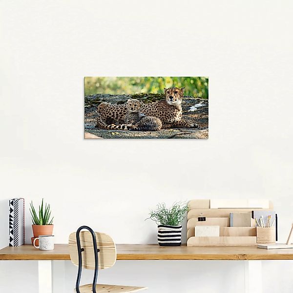 Artland Glasbild "Gepard 2", Wildtiere, (1 St.) günstig online kaufen