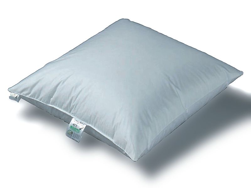 Königin der Nacht Daunenkissen ORIGINAL EIDERDAUNEN günstig online kaufen