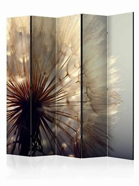 artgeist Paravent Dandelion Kiss II [Room Dividers] braun-kombi Gr. 225 x 1 günstig online kaufen