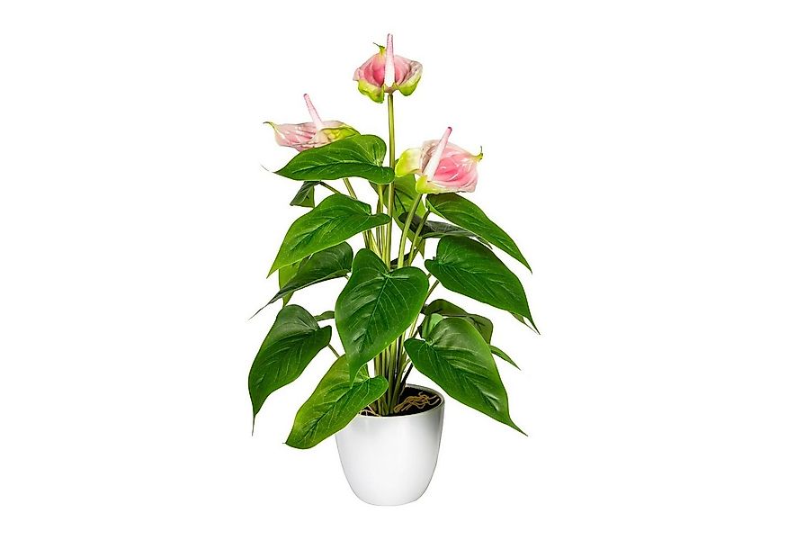 Kunstpflanze Künstliche Anthurie im weißen Kunststofftopf 40 cm in versch. günstig online kaufen