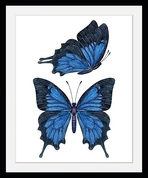 queence Bild »Amanda«, Schmetterlinge, (1 St.) günstig online kaufen
