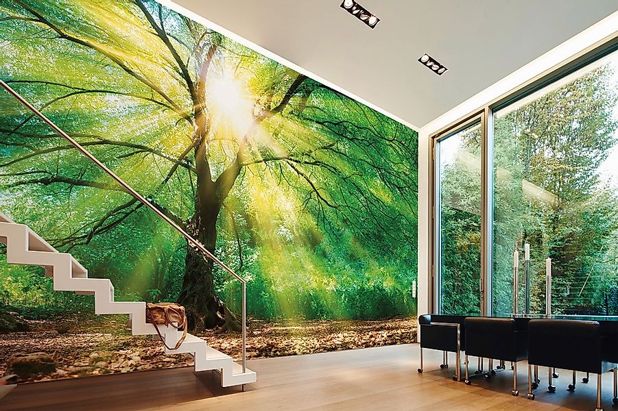 living walls Fototapete »Designwalls Forest Light«, Vlies, Wand, Schräge, D günstig online kaufen