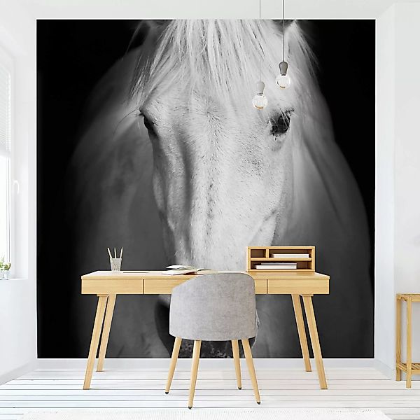 Bilderwelten Fototapete Dream of a Horse schwarz/weiß Gr. 192 x 192 günstig online kaufen