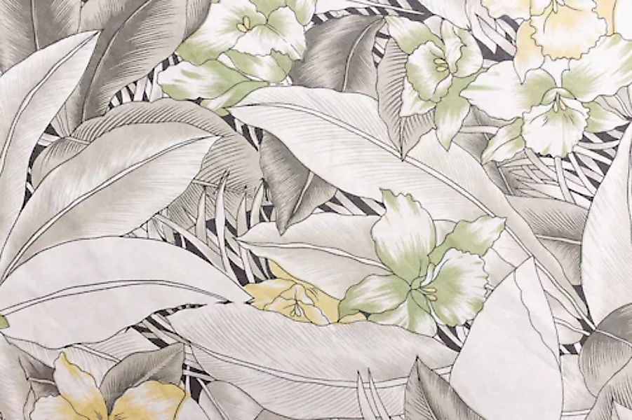 Papermoon Fototapete »Pflanzen gemälde« günstig online kaufen