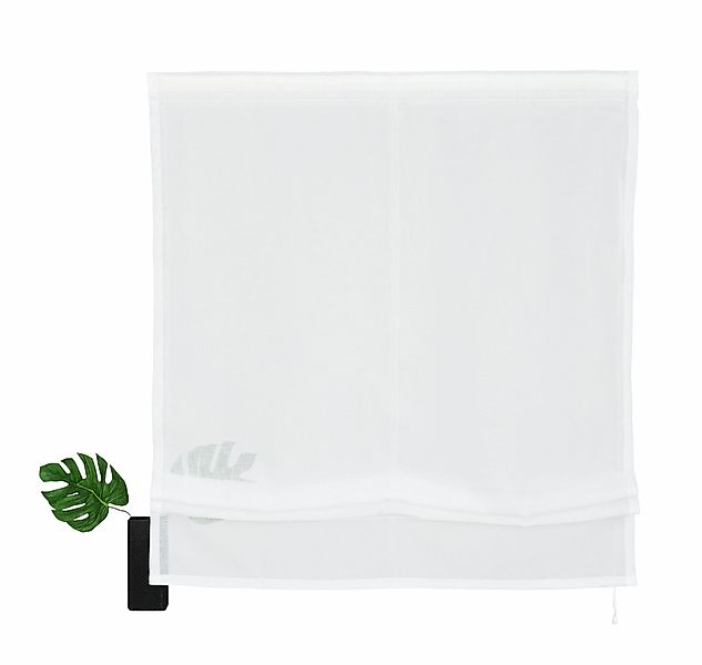 my home Raffrollo "Regina" mit Klettband Transparent, Voile, Polyester günstig online kaufen