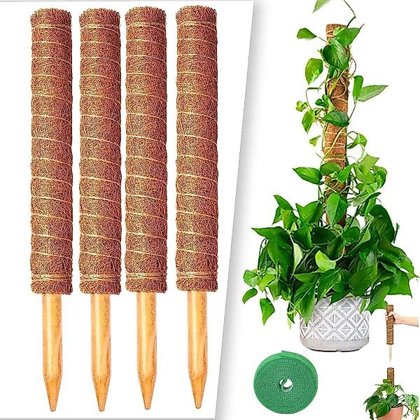 UE Stock Rankhilfe 4 Stück Monstera günstig online kaufen