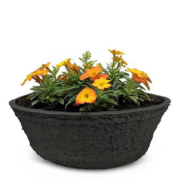 matches21 HOME & HOBBY Blumentopf Pflanzschale günstig online kaufen