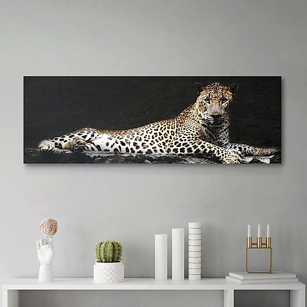 home24 Bild Leopard günstig online kaufen