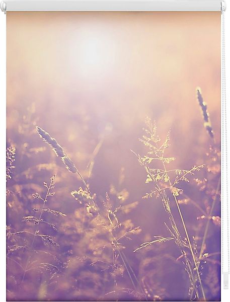 Seitenzugrollo Klemmfix Motiv Sommerabend, LICHTBLICK ORIGINAL, günstig online kaufen