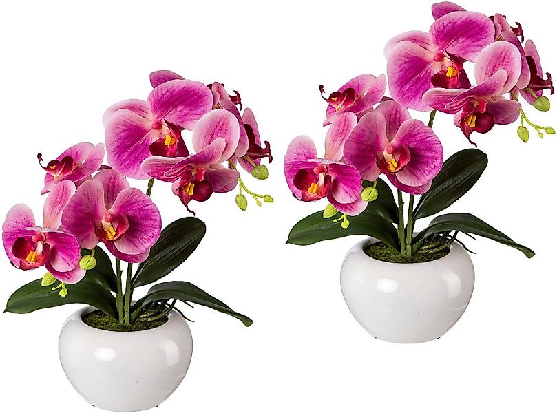 Kunstpflanze Orchidee, Creativ green, Höhe 35 günstig online kaufen