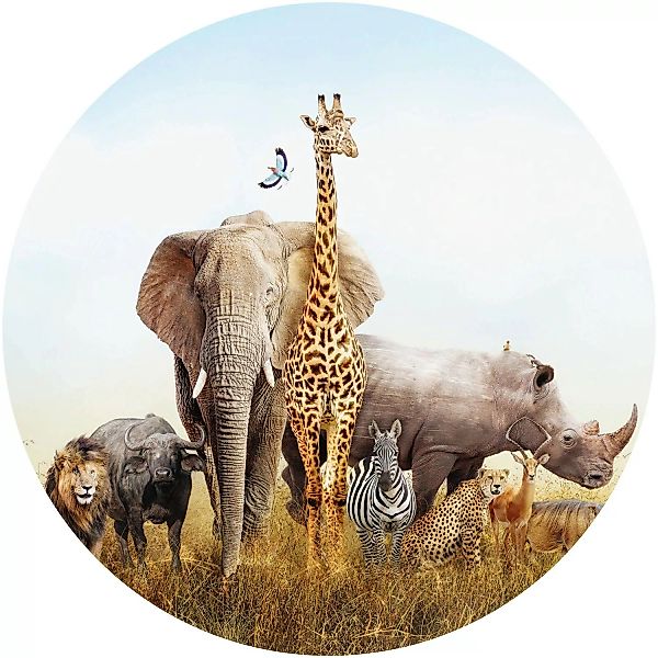 Erfurt Fototapete Vlies African Safari Ø 188 cm günstig online kaufen