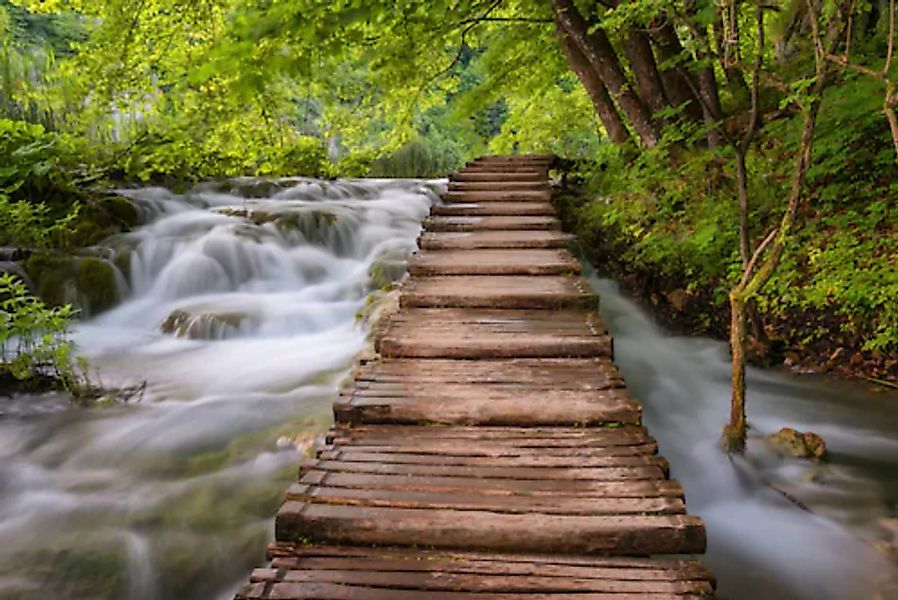 Papermoon Fototapete »Waldbrücke über Fluss« günstig online kaufen