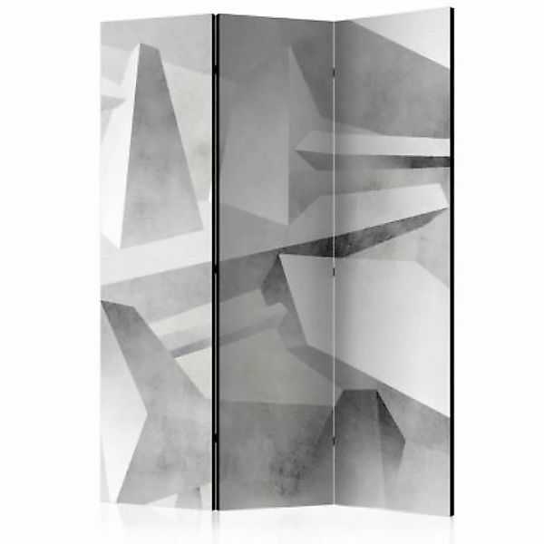 artgeist Paravent Frozen wings [Room Dividers] grau/beige Gr. 135 x 172 günstig online kaufen