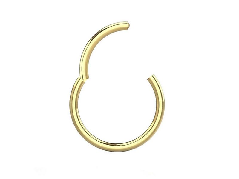 viva-adorno Nasenpiercing Segmentring Clicker Chirurgenstahl Piercing Ring günstig online kaufen
