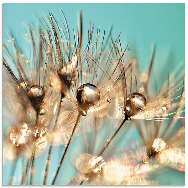 Artland Glasbild "Pusteblume Goldener Tau" Blumen 1 Stk. tlg. in verschiede günstig online kaufen