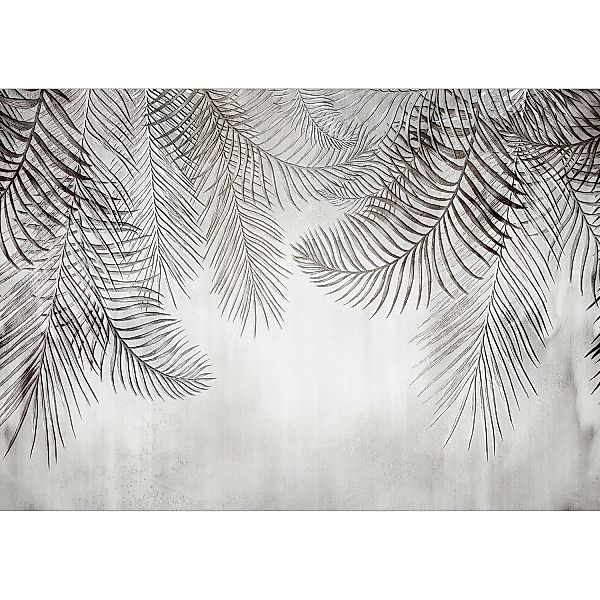 Fototapete - Night Palm Trees günstig online kaufen