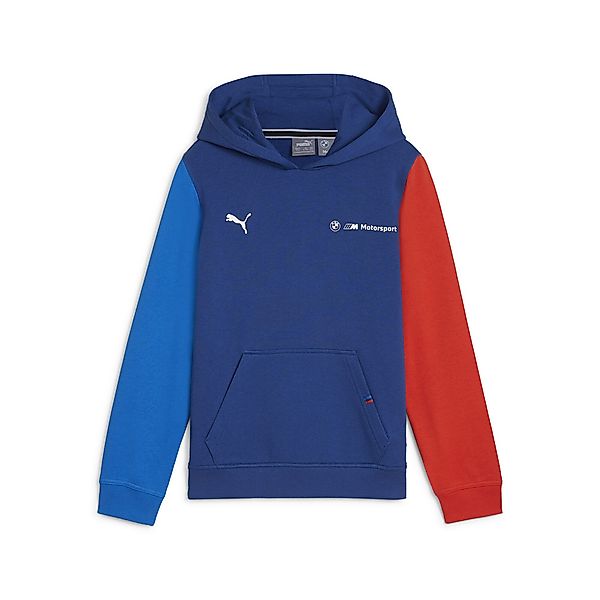 PUMA Kapuzenpullover BMW M Motorsport ESS+ günstig online kaufen