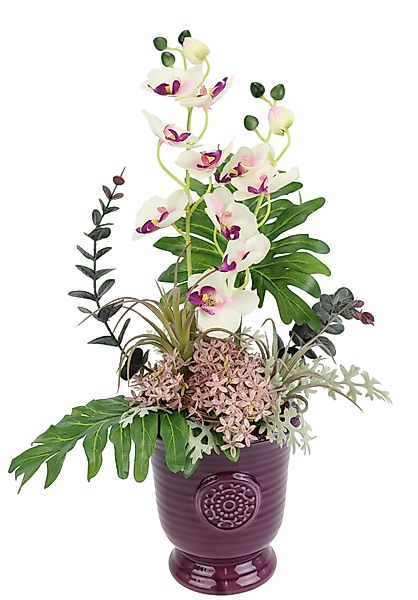 Kunstpflanze Orchidee Orchidee, I.GE.A., Höhe 50 günstig online kaufen