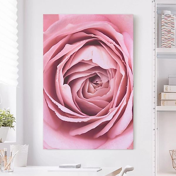 Leinwandbild Blumen - Hochformat Rosa Rosenblüte günstig online kaufen