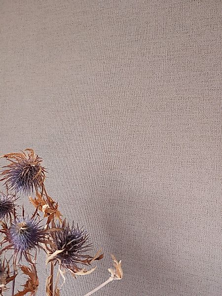 Newroom Vliestapete, Beige Tapete Uni Einfarbig günstig online kaufen