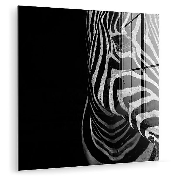 MuchoWow Acrylglasbild Tiere - Zebra - günstig online kaufen