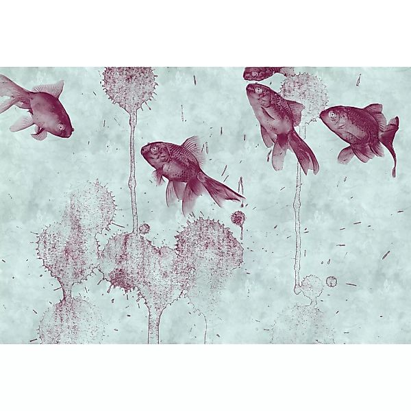 Fototapete Fische Teich Grau Rot 4,00 m x 2,70 m FSC® günstig online kaufen