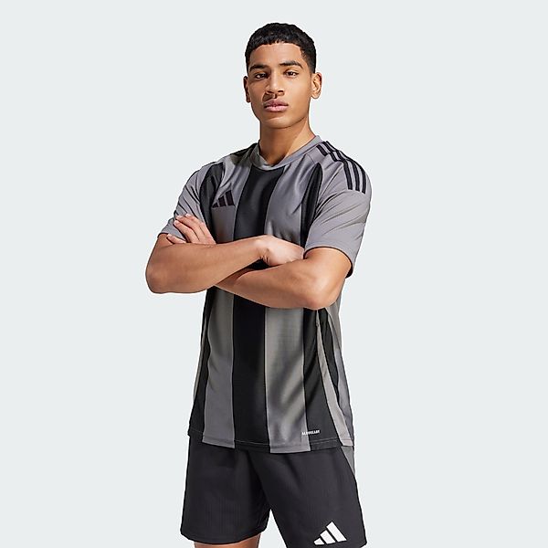adidas Performance Trainingstop STRIPED 24 TRIKOT günstig online kaufen