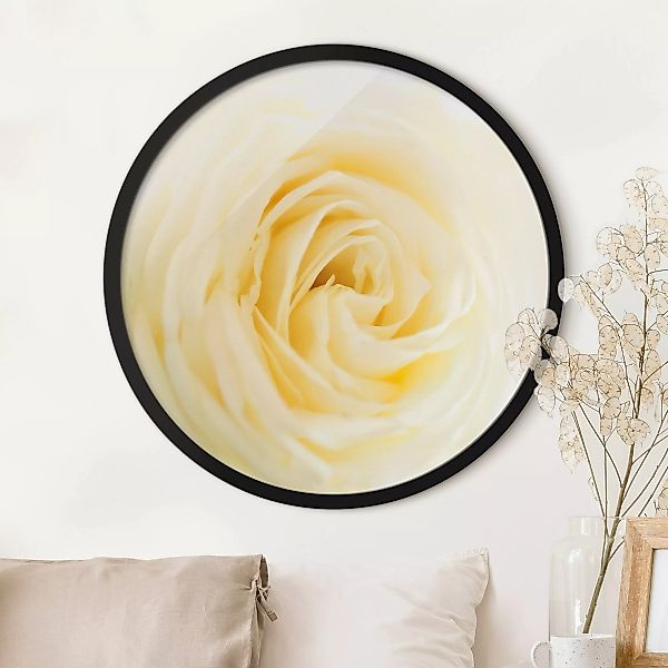 Rundes Bild mit Rahmen White Rose günstig online kaufen