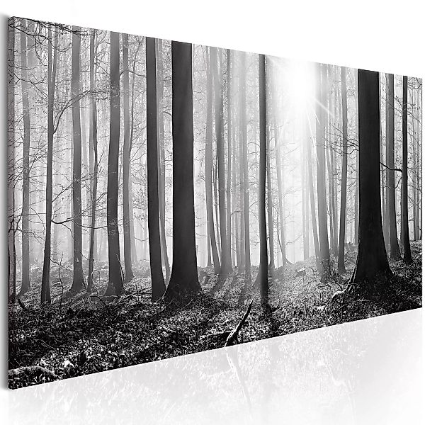 Wandbild - Black and White Forest günstig online kaufen
